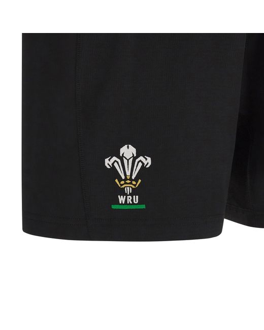 MACRON Black Wales Rugby Training Shorts 2024 Adults for men