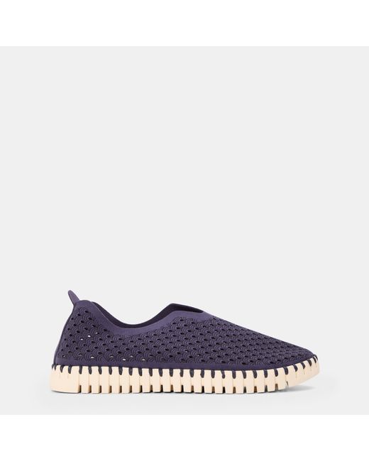 Ilse Jacobsen Purple Tulip Shoe