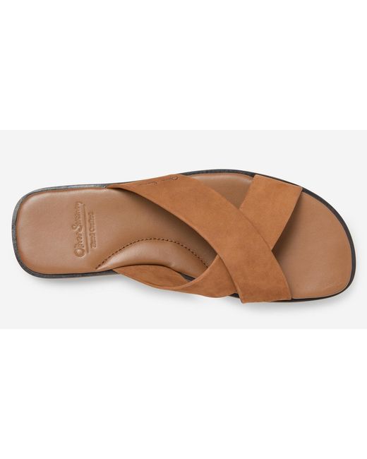 Oliver Sweeney Brown Low-Top Trainers for men