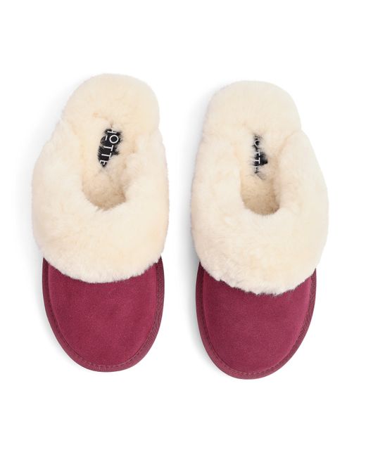 Hotter Purple Candy Slippers