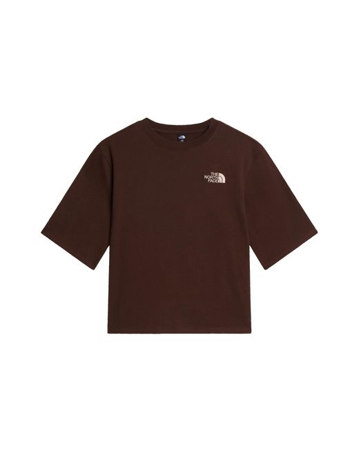 The North Face Brown Tnf Hike Picnic Boxy Graphic Tee
