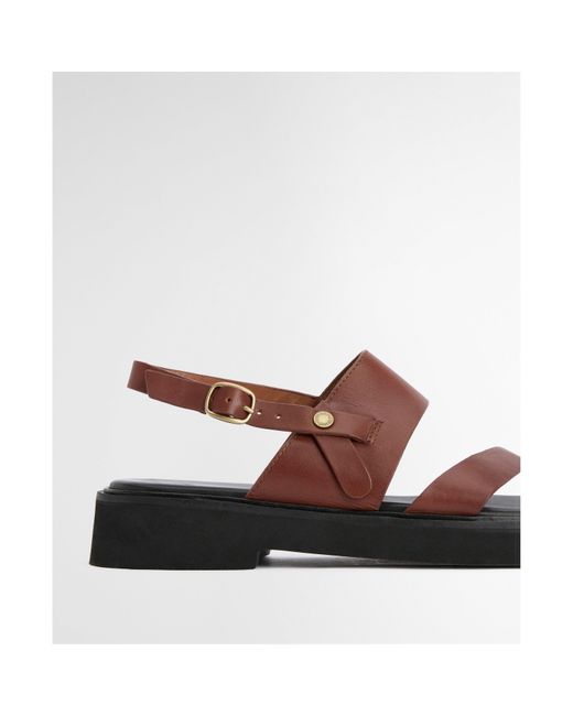 Barbour Brown Dakota Sandal