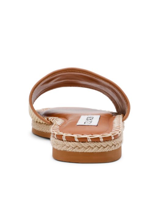 Steve Madden Brown Flat Sandals