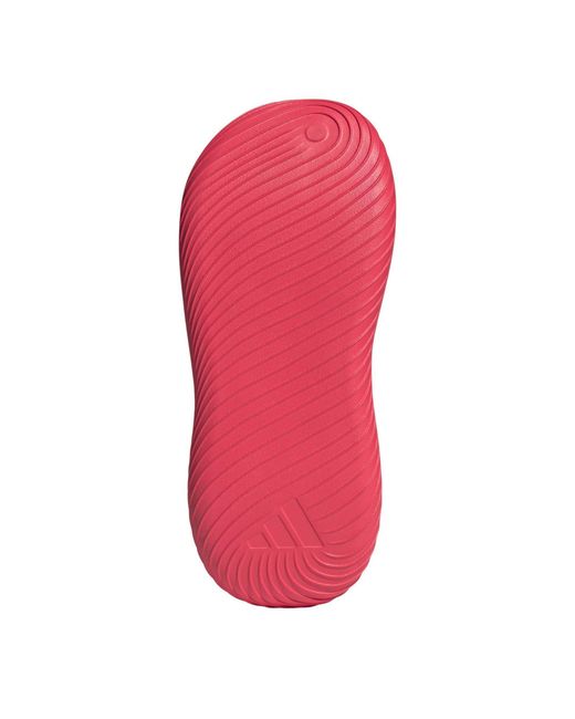 Adidas Pink Purechill Slide for men