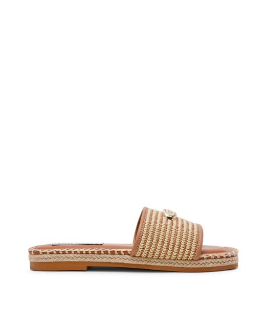 Steve Madden Brown Flat Sandals