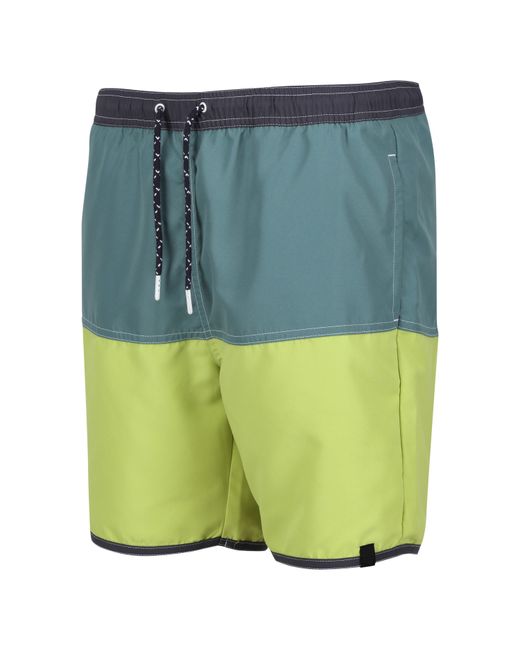 Regatta Blue Benicio Swim Shorts for men