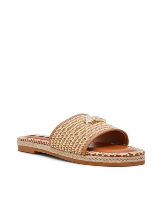 Steve Madden Brown Flat Sandals