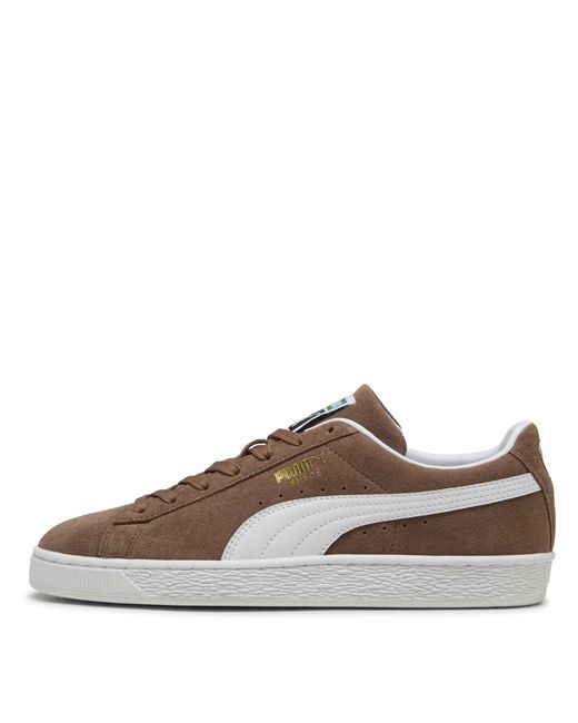 PUMA Brown Suede Classic Sneakers for men