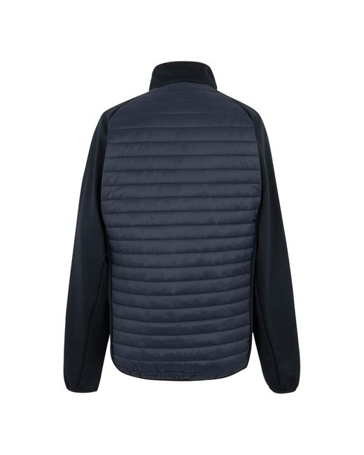 Regatta Blue Clumber Hybrid for men