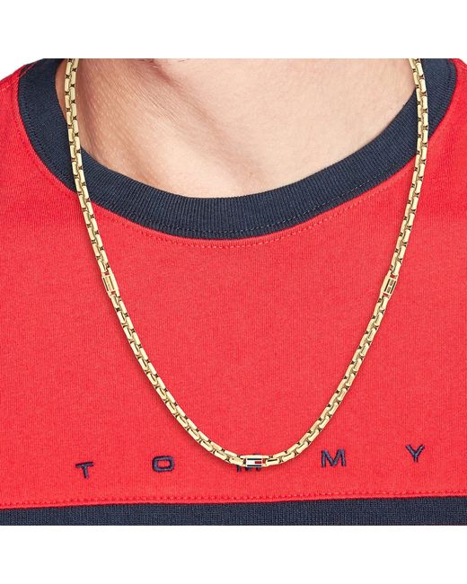 Tommy Hilfiger Metallic Necklace for men