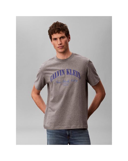 Calvin Klein Gray T-Shirt for men