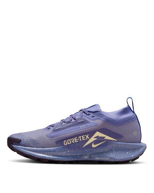 Nike Blue Pegasus Trail 5 Gore-Tex Running Shoes