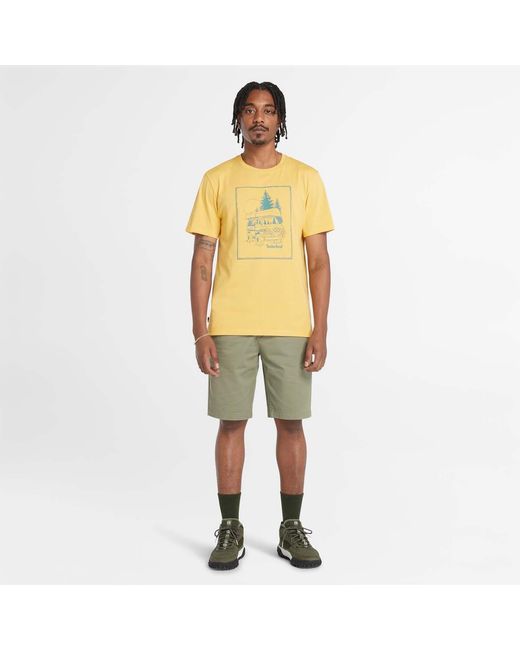 Timberland Green Topsfield Twill Chino Shorts for men