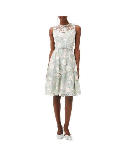 Phase Eight Gray Aria Embroidered Fit And Flare Dress