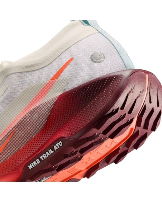 Nike Pink Pegasus Trail 5 Gore-Tex Running Shoes for men