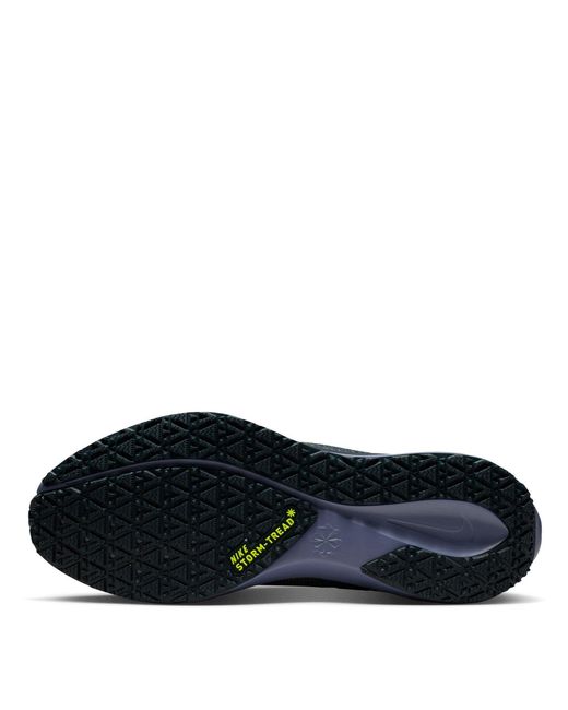 Nike Blue Pegasus 41 Gore-Tex Waterproof Road Running Shoes for men