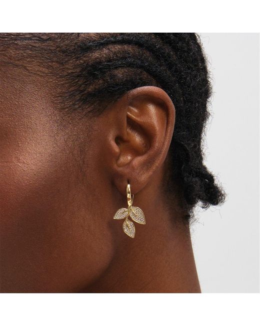 Jon Richard Metallic Plated And Cubic Zirconia Leaf Earrings