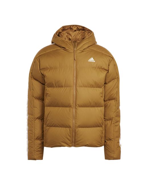 Adidas Brown Ess Mid D Down Jacket for men