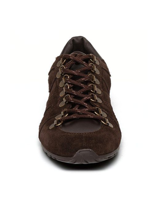 Steve Madden Brown Bless Low-Top Trainers