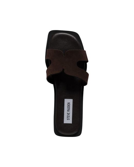Steve Madden Brown Flat Sandals
