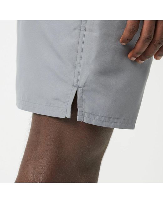 Nike Gray Core Swim Shorts for men