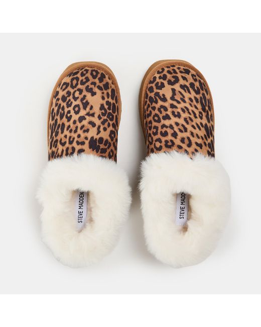 Steve Madden Brown Chaplin Snug Boots