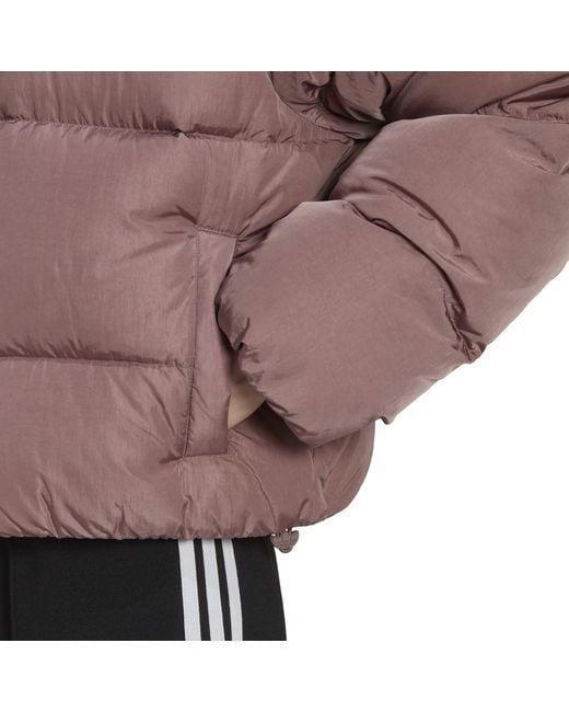 Adidas Brown Down Jacket