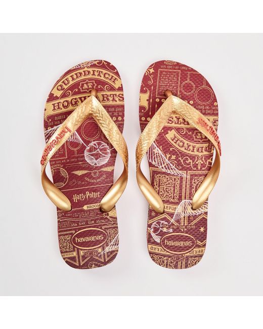 Havaianas Brown Licences Flip Flops