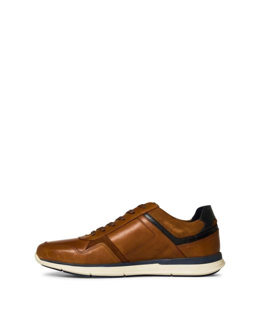 Dune Brown Torben Trainers for men