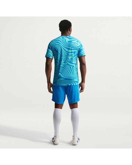 Nike Blue Brazil Academy Pro Dri-Fit Soccer Pre-Match Short-Sleeve Top for men