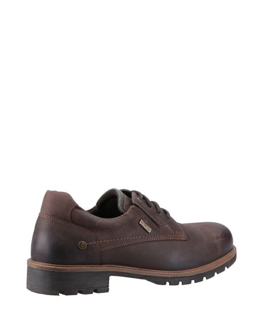 Cotswold Brown Ebrington Shoes for men
