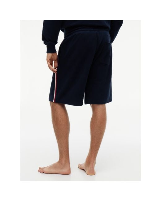 Tommy Hilfiger Blue Global Stripe Short for men