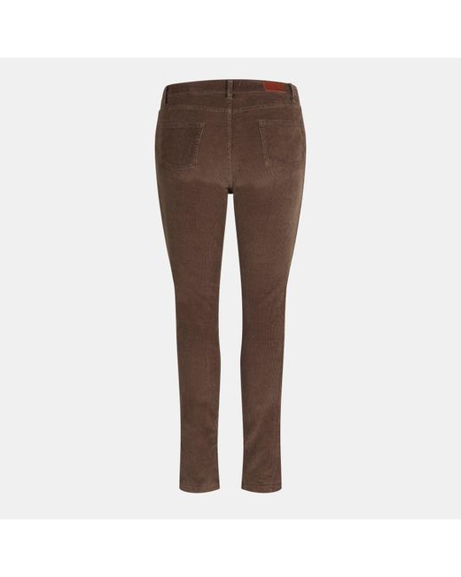 Musto Brown Country Trouser Fw
