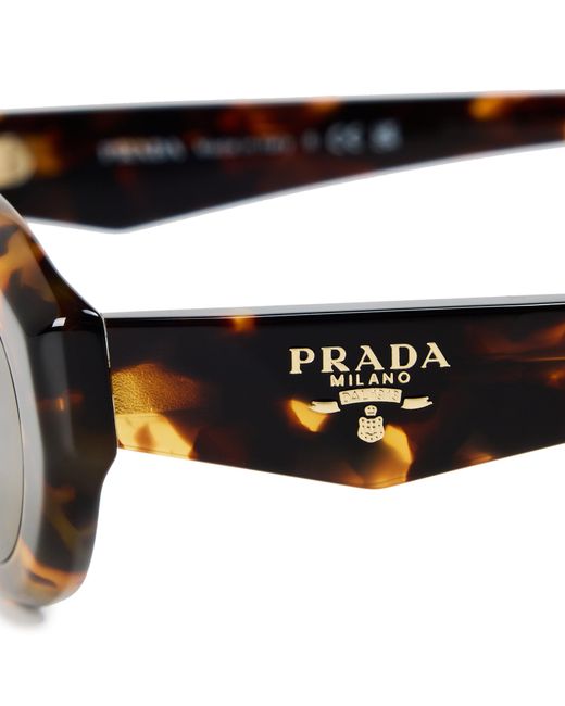 Prada Brown Oval Sunglasses