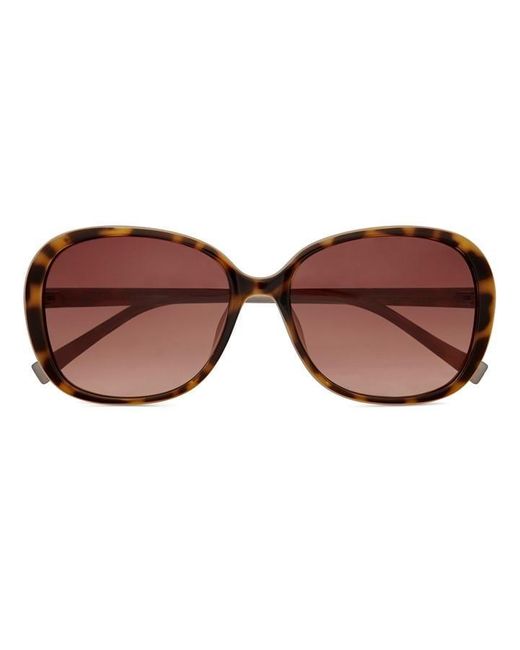 Ted Baker Brown Rios1603608 Ld99