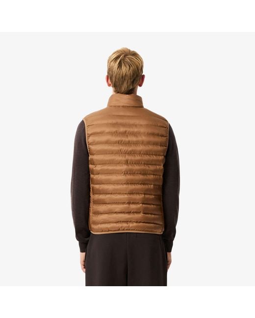 Lacoste Brown Gilets for men