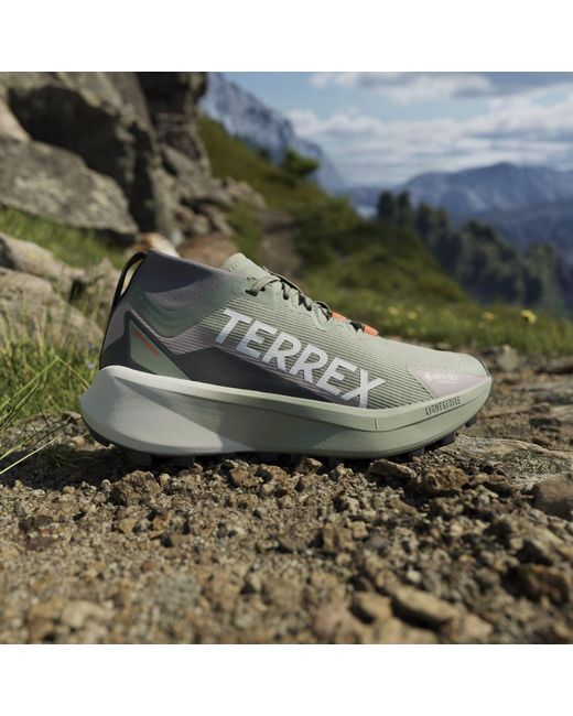 Adidas Gray Terrex Agravic Gtx Trail Running Shoes