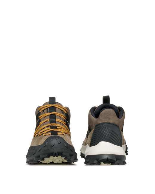 SCARPA Brown Rove Gtx Shoe for men