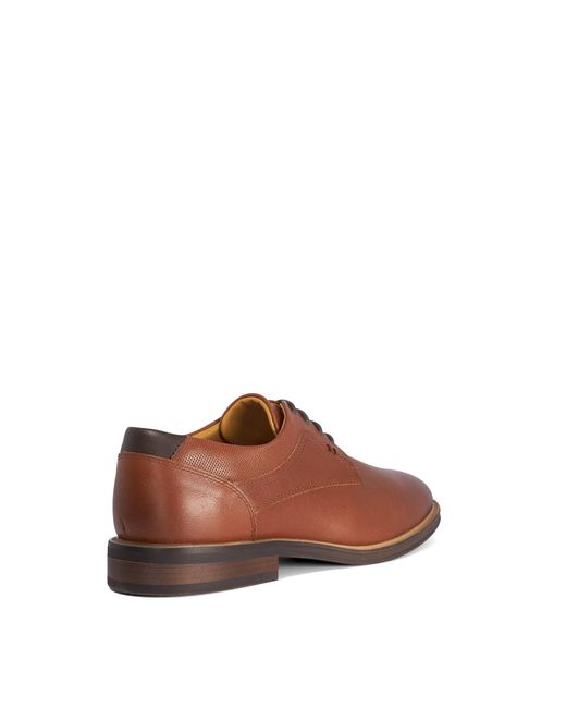 Dune Brown Derby Shoes for men