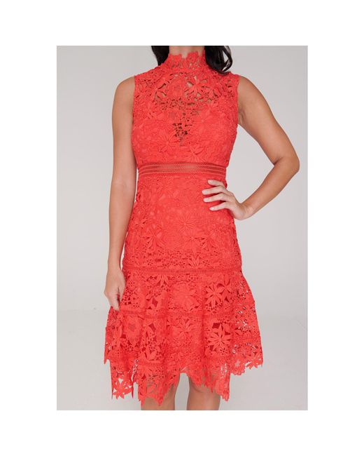 elise lace dress