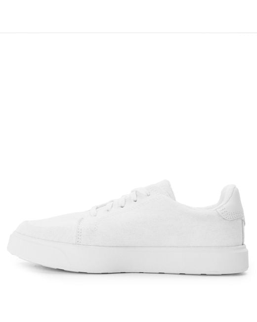 Timberland White Low Lc Sneaker Trainers