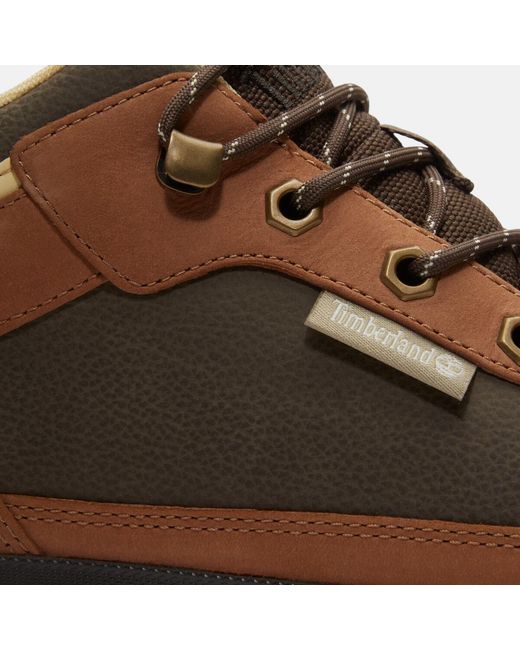 Timberland Brown Field Trekker Mid Boots for men