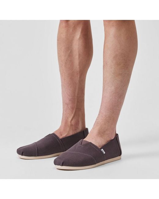 TOMS Brown Alpargata Canvas Shoes for men