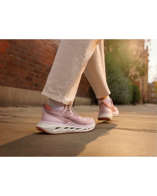 Ecco Brown Trainers