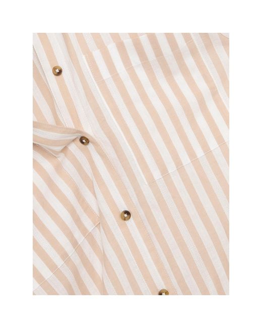 Phase Eight Natural Vixen Stripe Collared Blouse