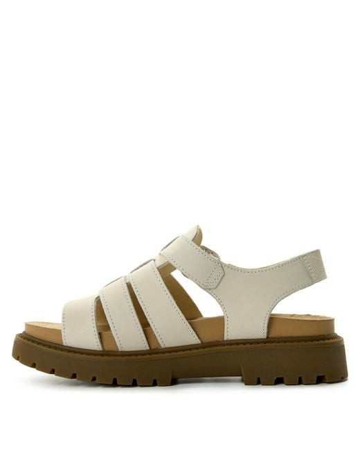 Timberland Multicolor Clairemont Way Fisherman Sandal Gol