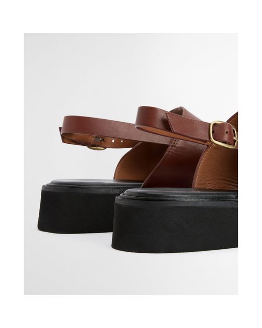 Barbour Brown Dakota Sandal