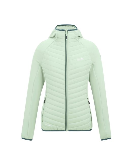 Regatta Green Andreson Water Resistant Hooded Long Sleeve Insulated Puffer Jacket