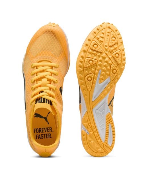 PUMA Orange Evospeed Haraka 8 Off-Road Trail Running Shoes for men