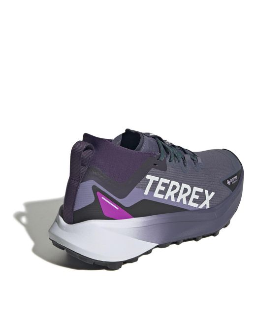 Adidas Blue Terrex Agravic Gtx Trail Running Shoes